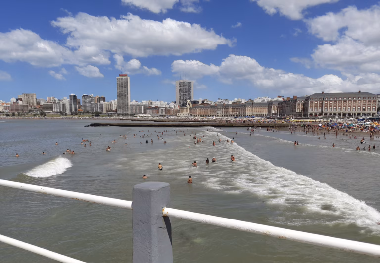 Puerto de Mar del Plata: lobos marinos, banquina y lanchas amarillas