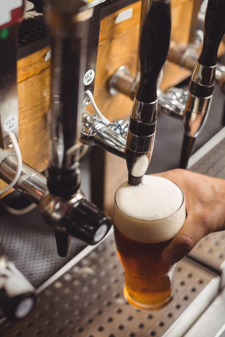 Visitas guiadas en Mar del Plata: cervecería, gin, bodega y helados