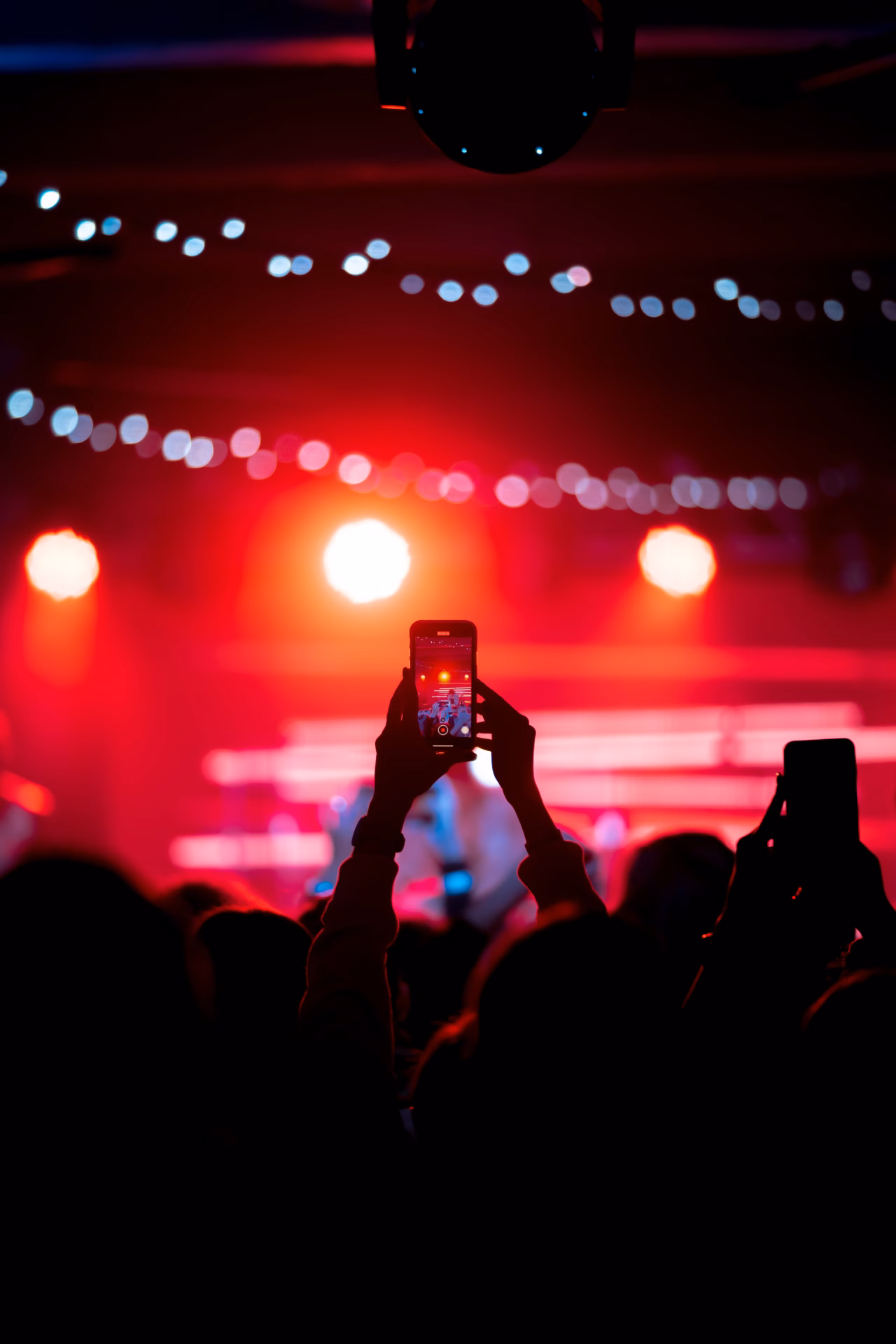 Bendu Arena Mar del Plata: el polo de compras y shows junto al puerto