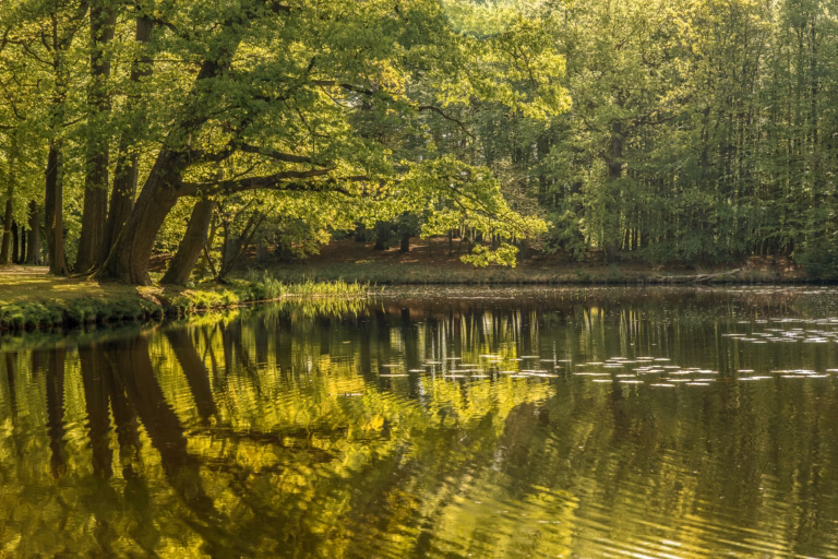Laguna de los Padres: paseo, náutica y naturaleza cerca de la ciudad