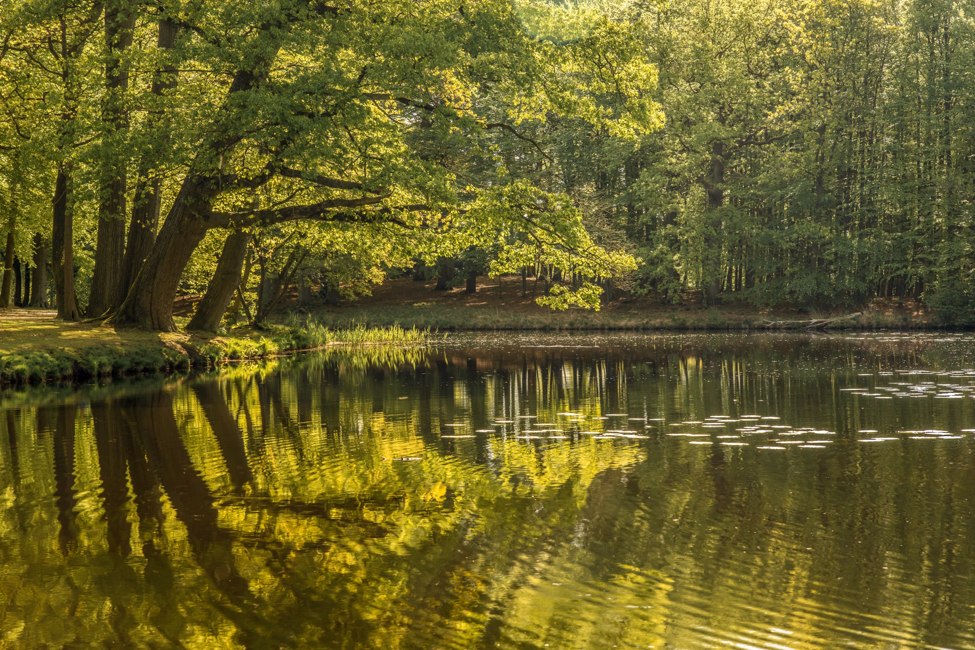 Laguna de los Padres: paseo, náutica y naturaleza cerca de la ciudad
