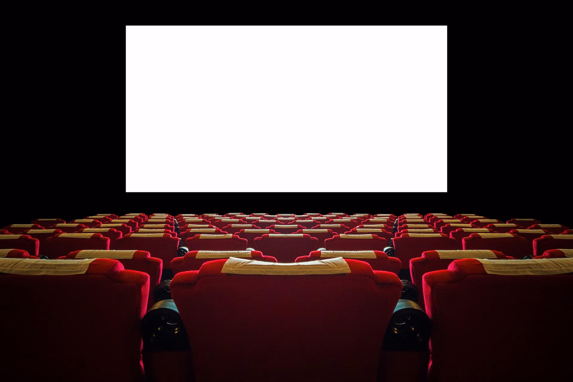 Películas del Festival de Cine de Mar del Plata 2026: imperdibles